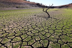 Drought